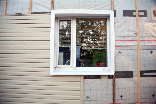 Best Residential Vinyl Siding Installation  in Prescott, WI