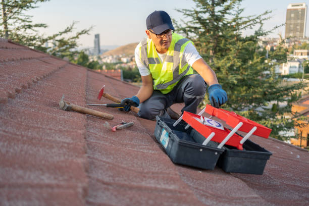 Best Historical Building Siding Restoration  in Prescott, WI